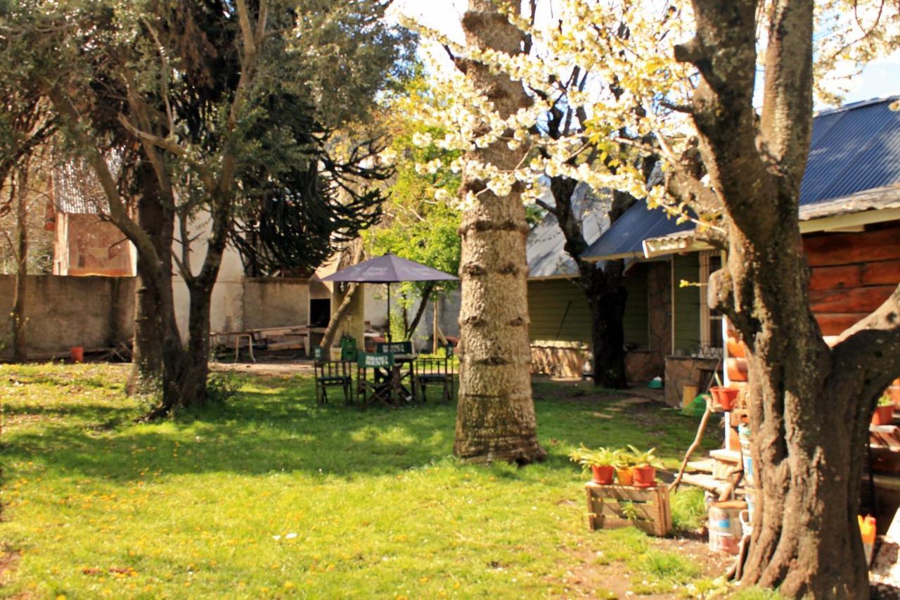 Alhue Patagonia Hostel San Martin de los Andes Ngoại thất bức ảnh